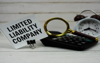 Limited Liability Company concept with objects
